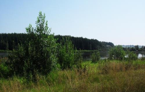 SDC15387.jpg