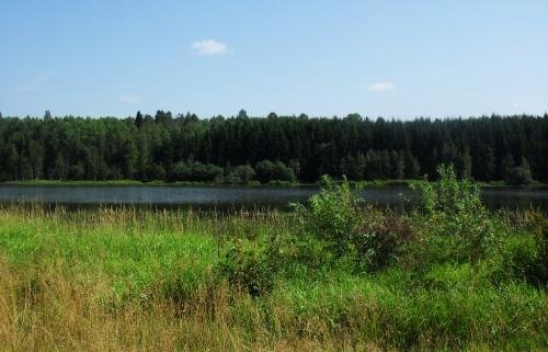 SDC15389.jpg