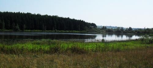 SDC15390.jpg
