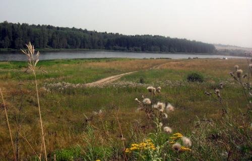 SDC15465.jpg