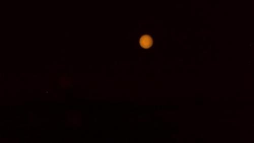 DSC00487-1.jpg
