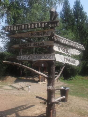 SDC15713.jpg