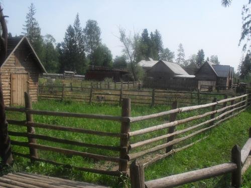 SDC15774.jpg