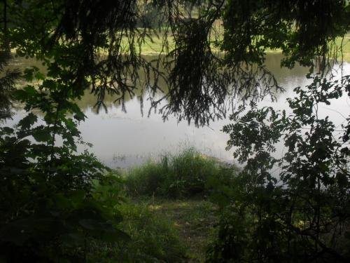 SDC16119.jpg
