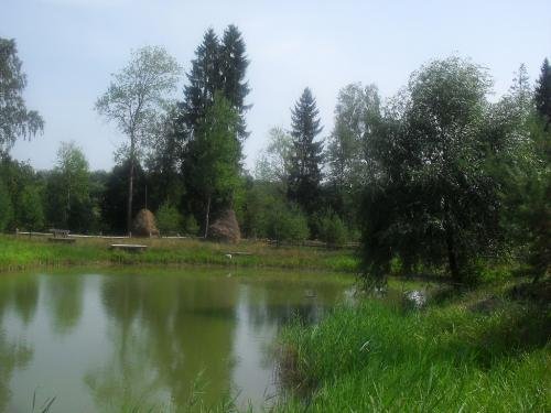 SDC15841.jpg