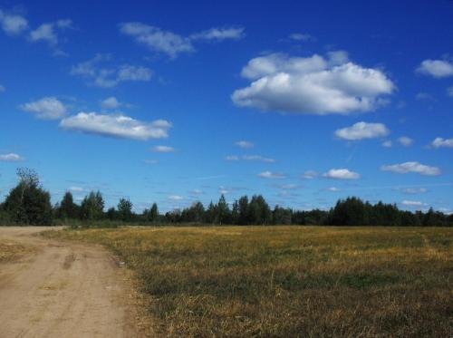 SDC16328.jpg
