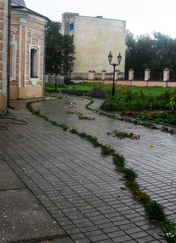SDC16564.jpg