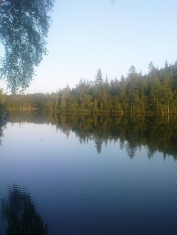 x_87d34189.jpg