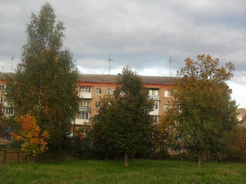 SDC16802.jpg
