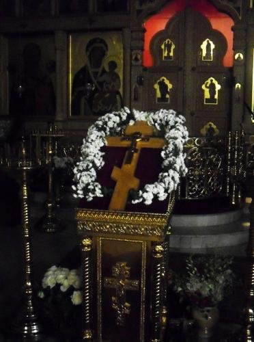 SDC16950.jpg