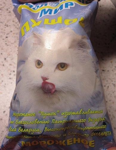 x_aafd349c.jpg