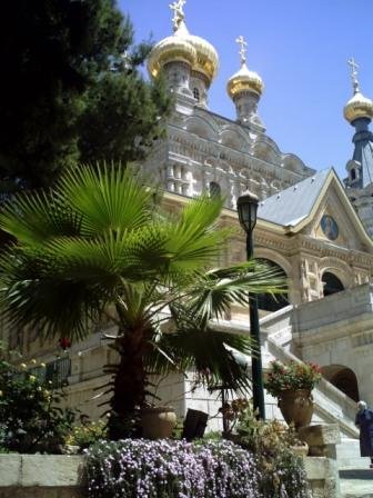 IMG_0287a.jpg