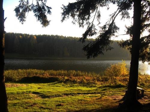 SDC17090.jpg