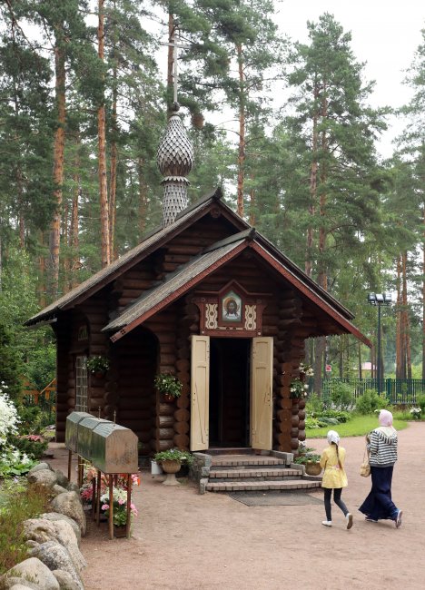 год68.jpg год68.jpg