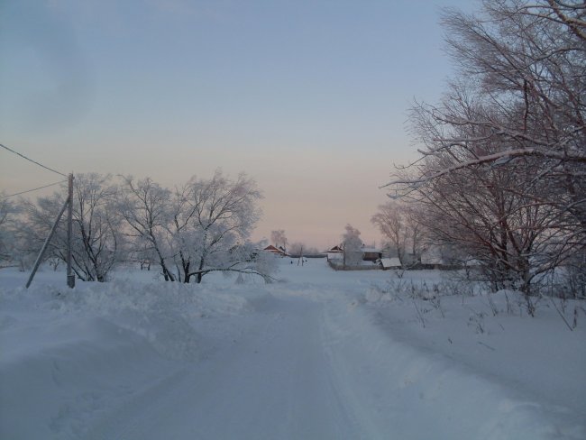 SDC11260.jpg
