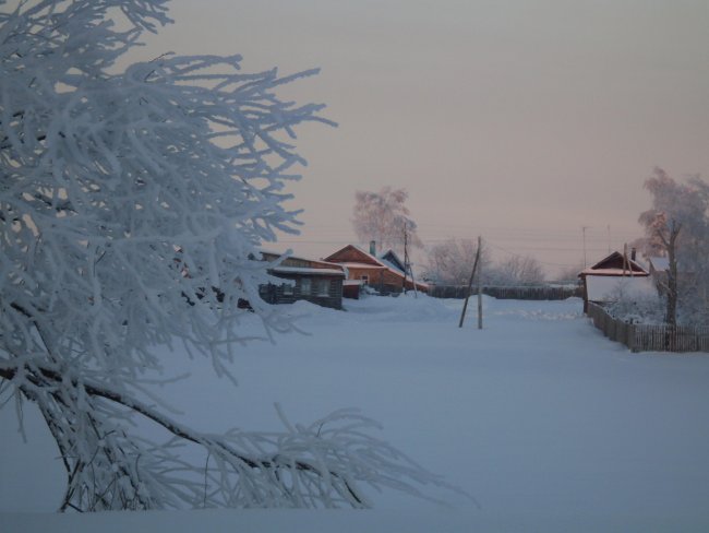 SDC11263.jpg