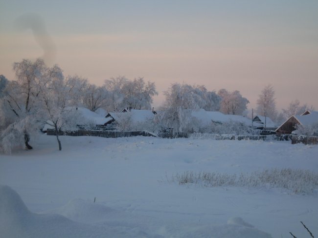 SDC11265.jpg