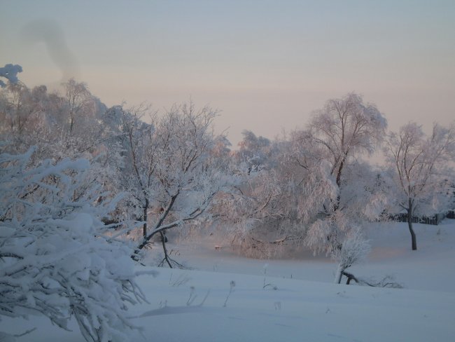 SDC11274.jpg
