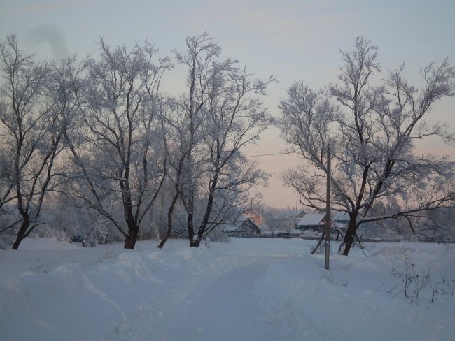SDC11285.jpg