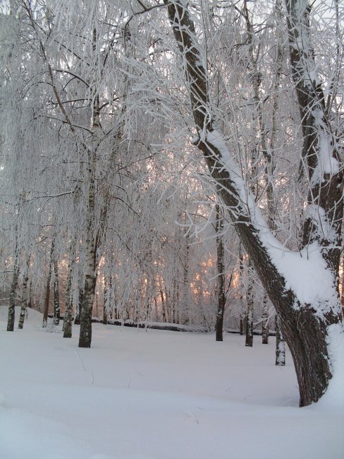 SDC11291.jpg