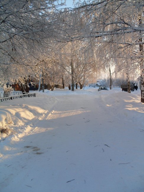 SDC11311.jpg