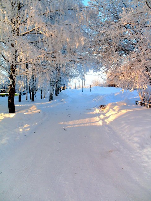 SDC11312к.jpg
