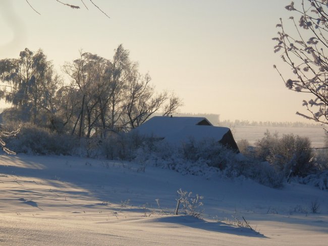 SDC11333.jpg