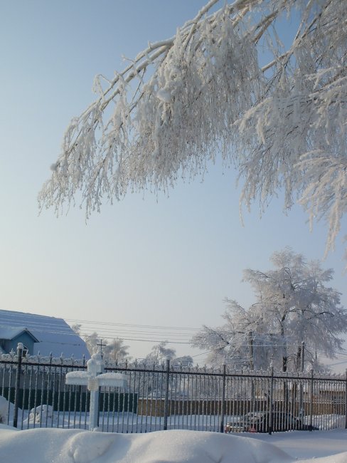 SDC11249.JPG