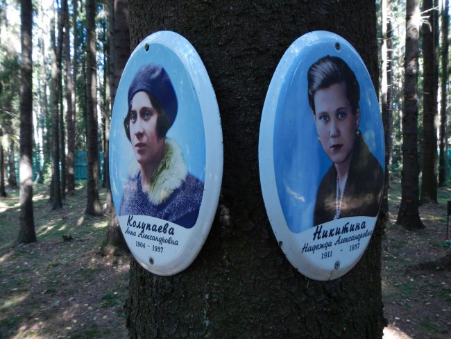 17.jpg 17.jpg