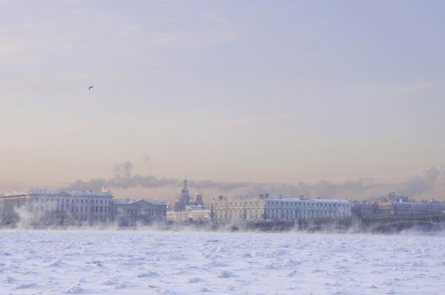 _DEM8137-1 копия.jpg