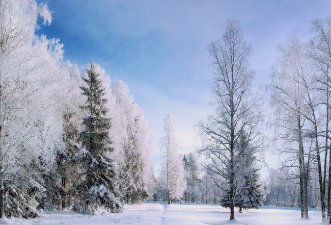 SG106881_hf копия.jpg