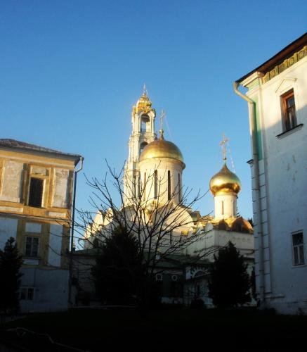 SDC17240.jpg