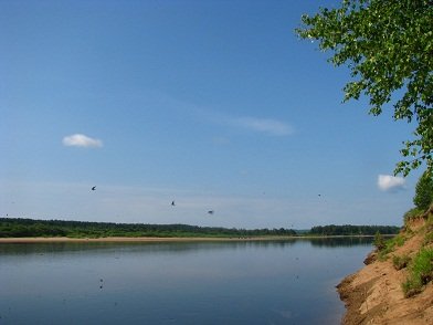 IMG_0972_н.jpg
