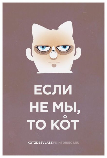 BRokCU9CUAAh8ZE.jpg