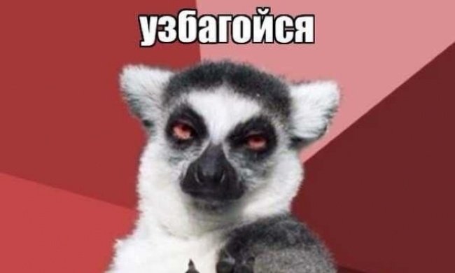 lemur-766864726726.jpg