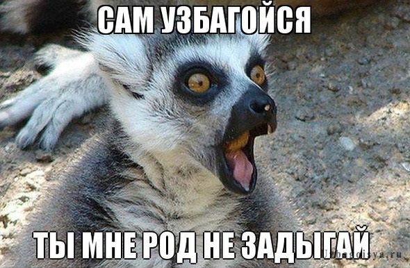 лем2.jpg