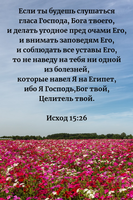 15 гл Если ты будешь слушаться гласа Господа Бога твоего.png