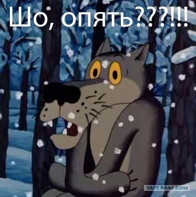 12010518.jpg