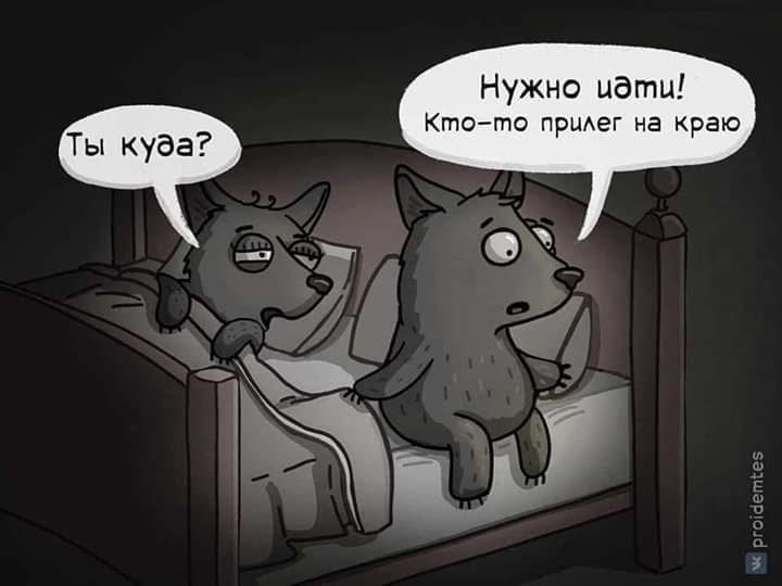 Волчок.jpg