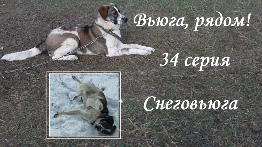1 — копия — копия — копия — копия — копия — копия — копия — копия — копия — копия.jpg