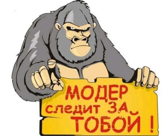 scale_1200 мод.jpg