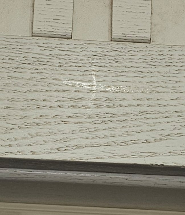 InShot_20250207_144601192.jpg