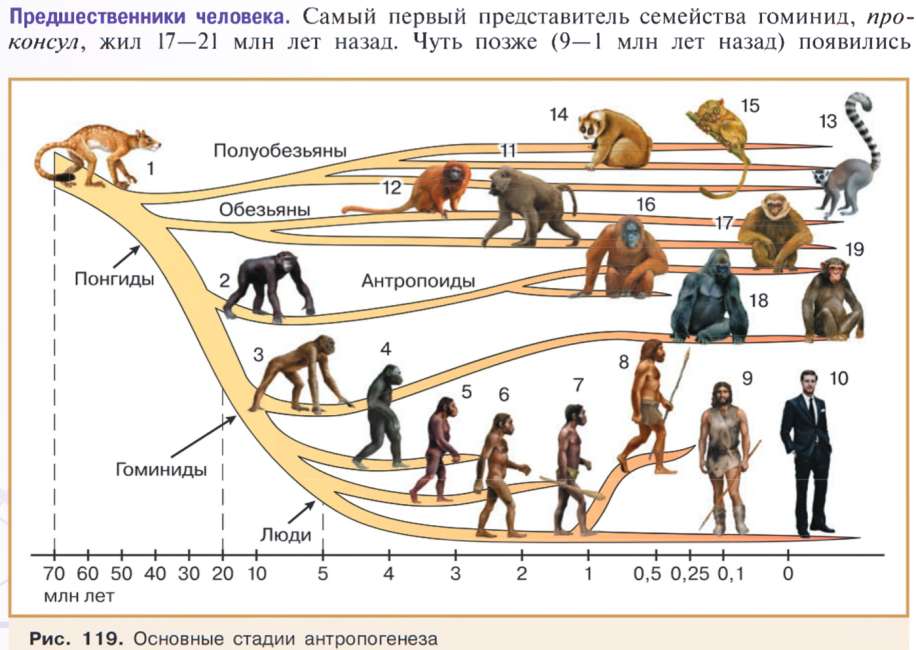 Безымянный.png