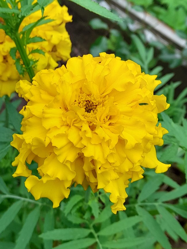 20220801_140951.jpg 20220801_140951.jpg