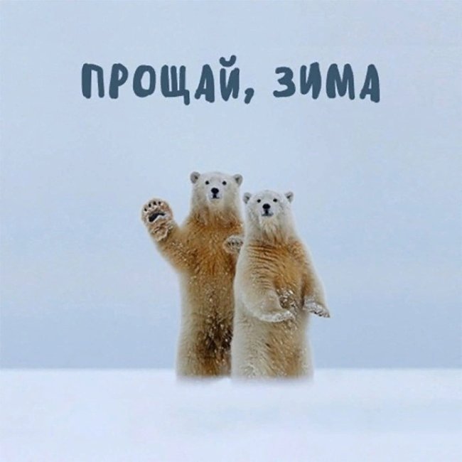 ivOaA9NaH-XAkeW7hW5ldApwMTXGAlO06oeyYu6hiuZ07yHVl_4OdbJCvliUOyGtO9r_k8QAQ9exd0V82QZCOWIo.jpg