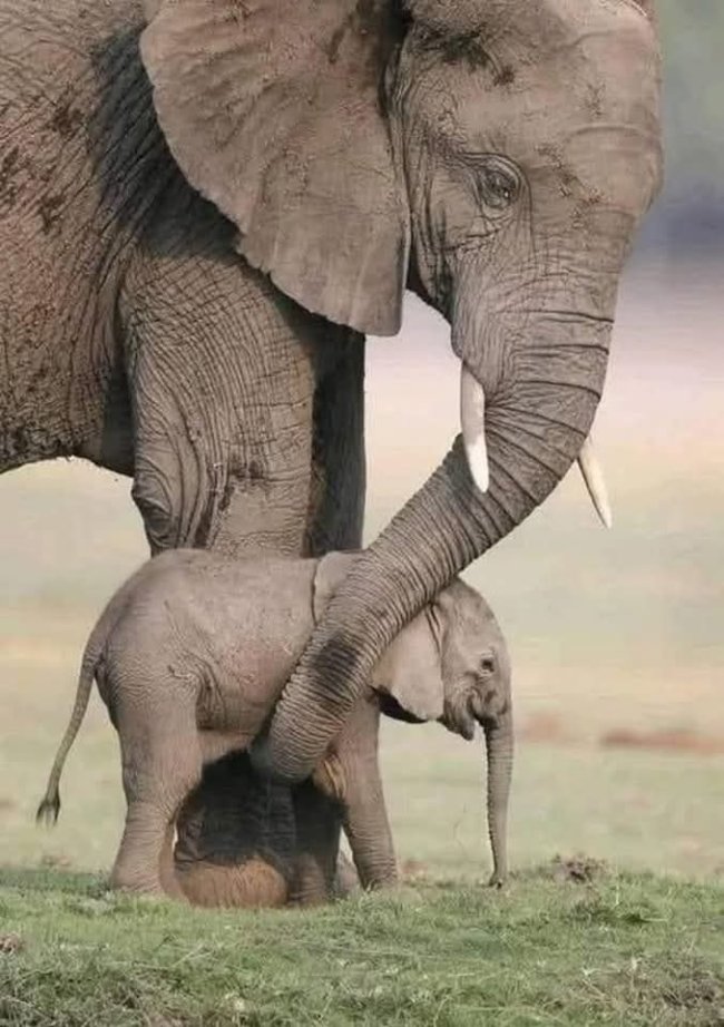 O38-mpPXhQRVviMTTTd71kiTIPhn6CdFk8n3XK5M9qql9ItIKq15x93cxO4iVtTvfrFnPFB_drL__L9G7kv15rum.jpg