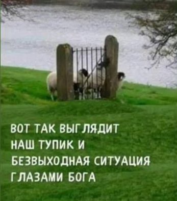 90eb50e7c05b98357dce9a10d5f7f607.jpg