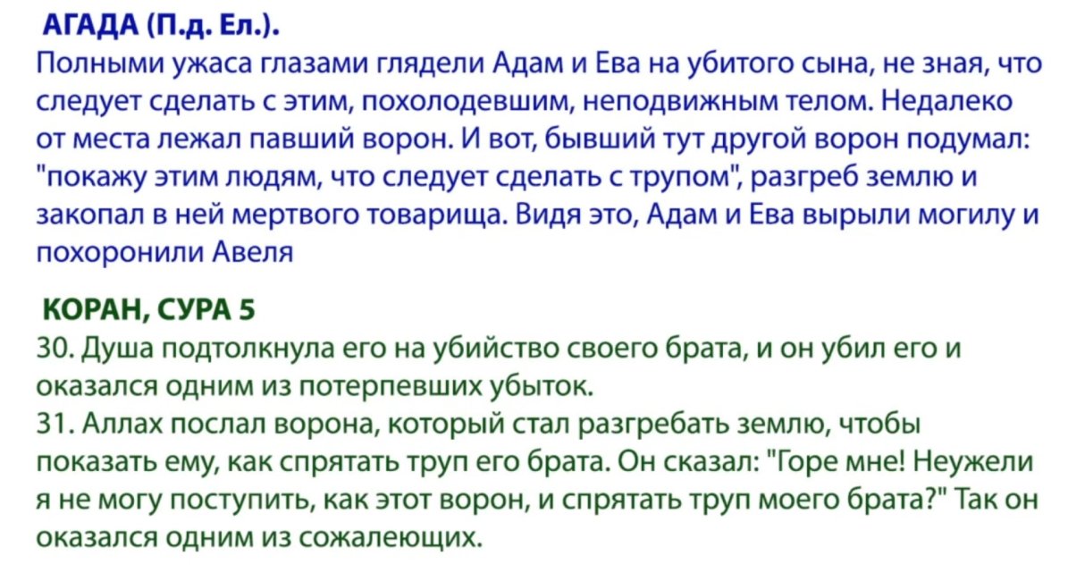 Screenshot_1.jpg