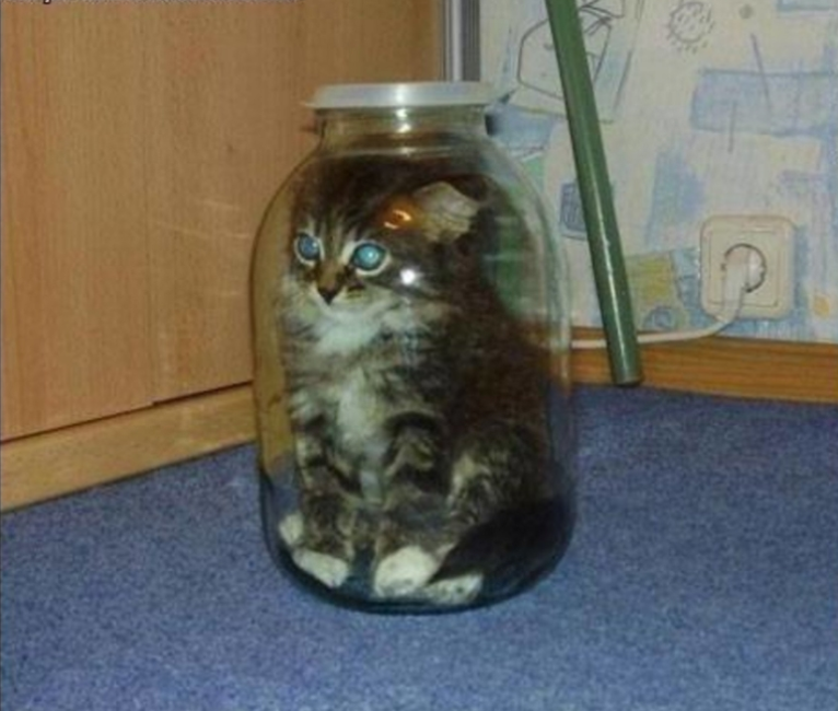 1636438676_бан.png