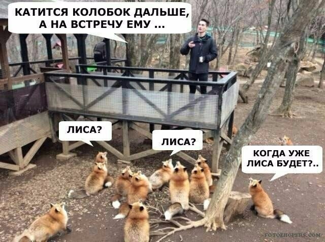 X9QMIQRvI-HZoqhtY4rGZAJHlBKEvL_ruShEtXP_yHtzRpJVdKVjlQWdNC1aY50RfnwCFg.jpg